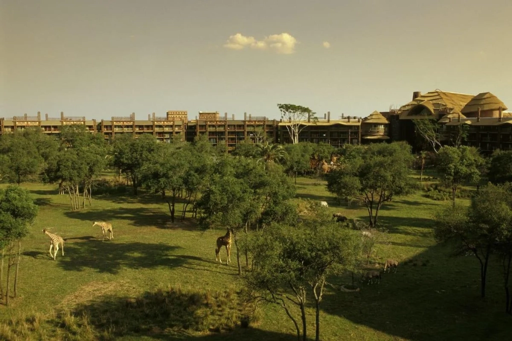 DVC Resorts Ranked: Disney's Animal Kingdom Lodge Villas Views
