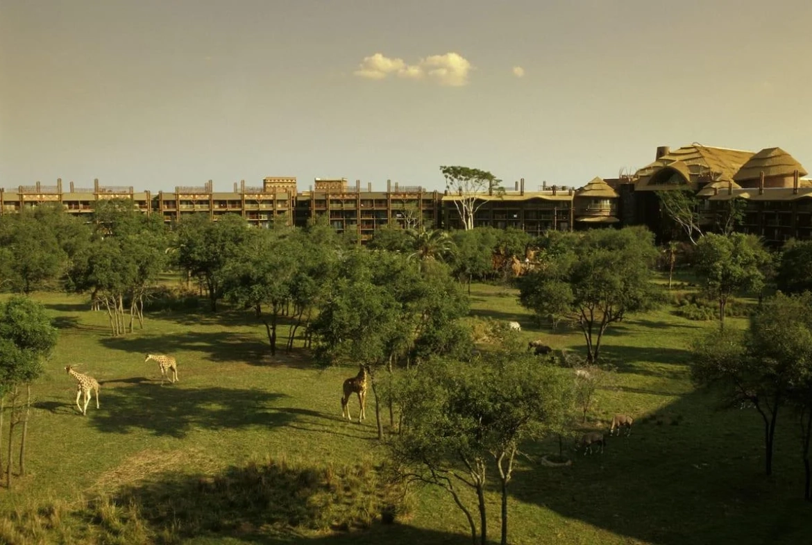 DVC Resorts Ranked: Disney's Animal Kingdom Lodge Villas Views