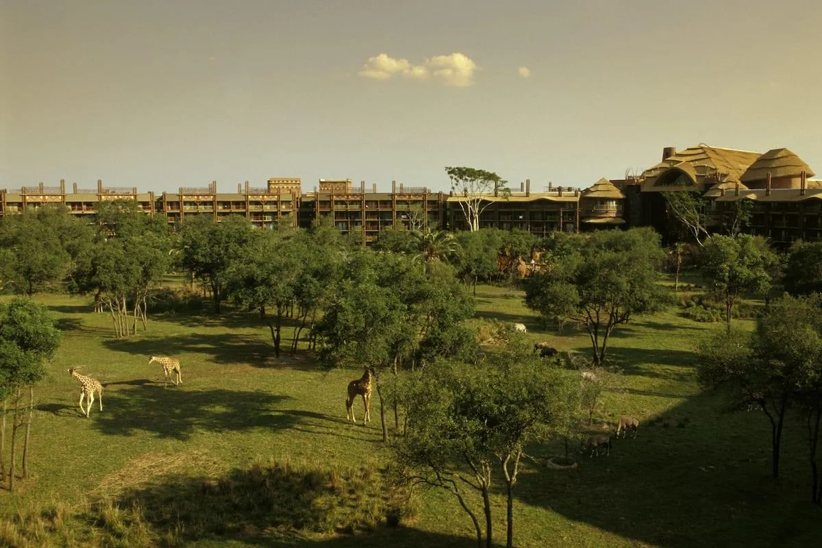 DVC Resorts Ranked: Disney's Animal Kingdom Lodge Villas Views