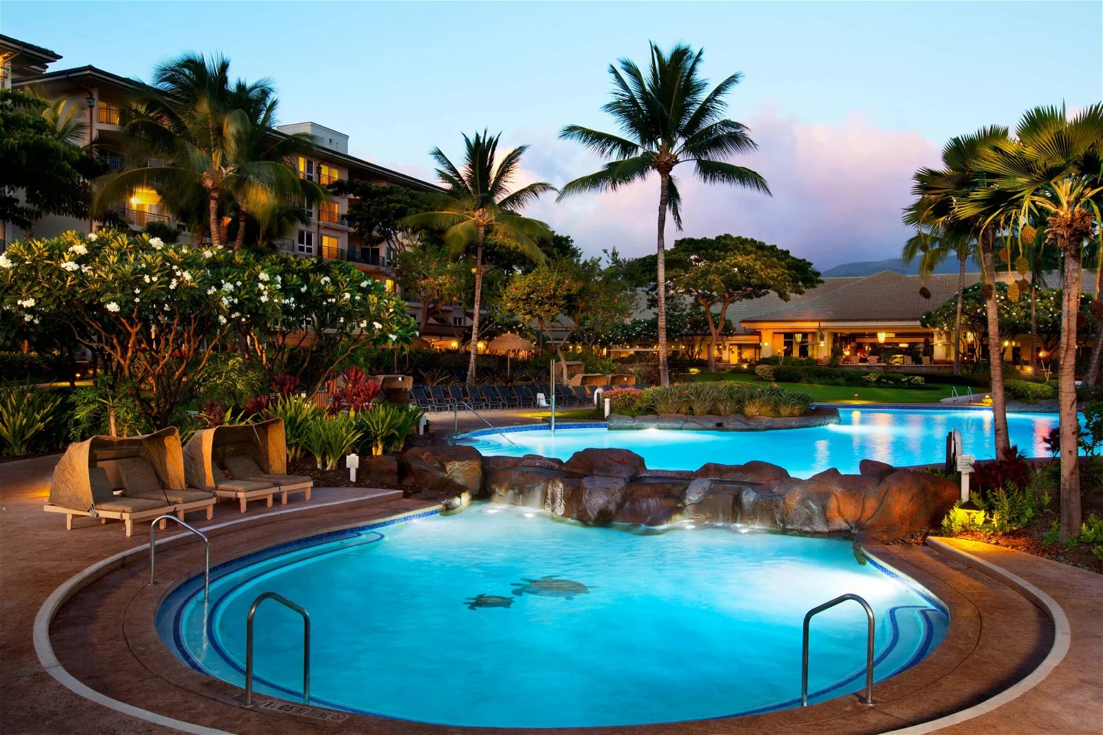Timeshare for Rent in Hawaii: Westin Kaanapali Ocean Resort Villas North