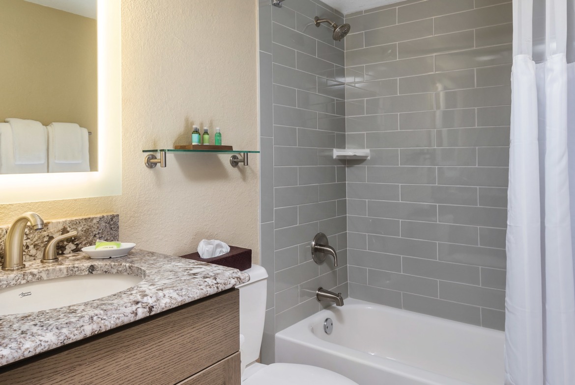 Bathroom Area