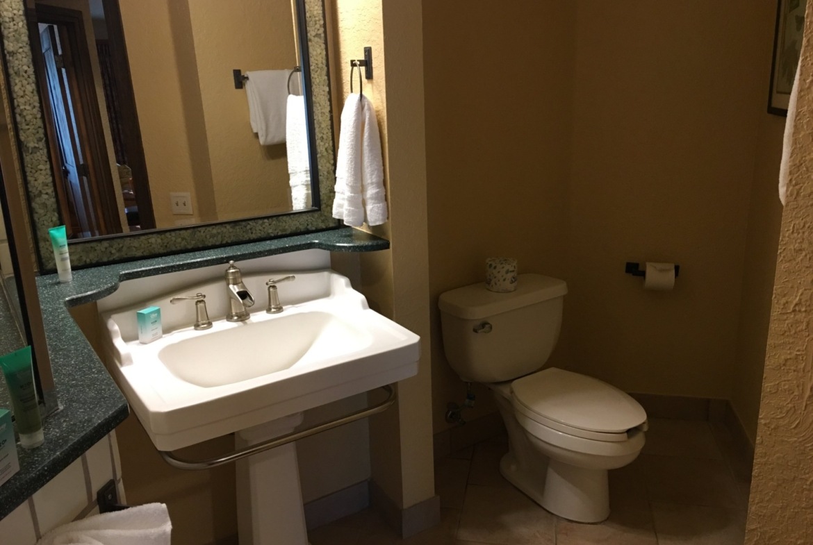 Bathroom Area