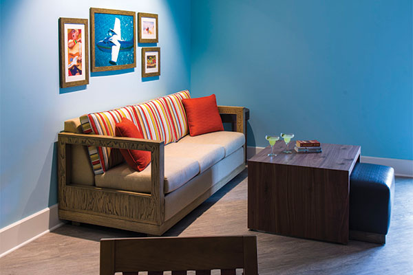 Living Room Area