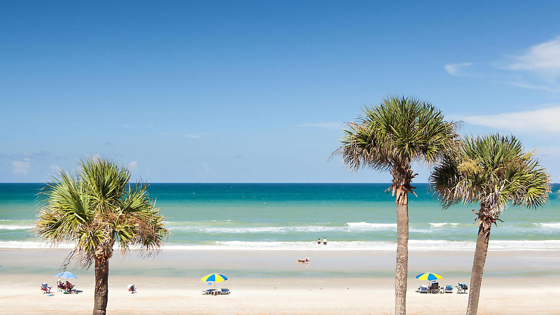 Beach Vacations Daytona Beach Palm Trees