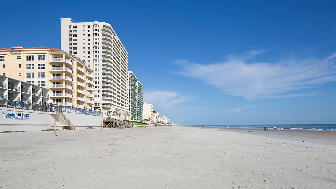 dolphin beach club beach view