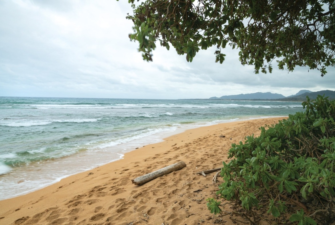 sandy beach