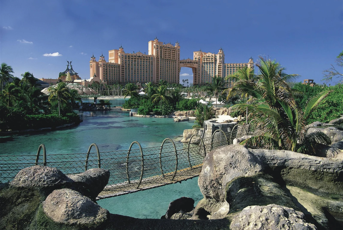 Shark Pool Bridge