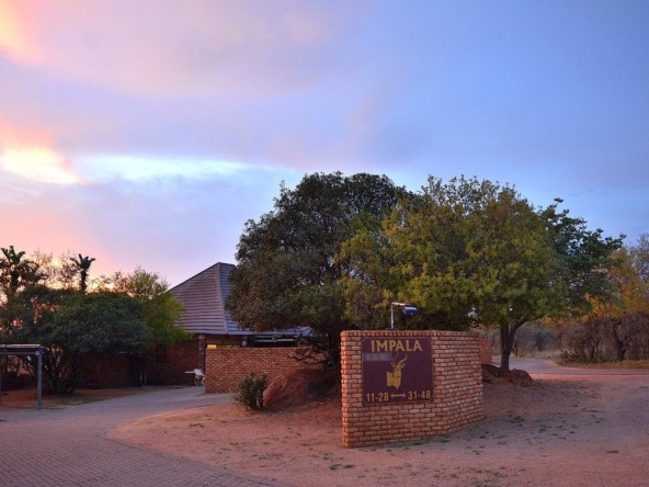 Impala Camp