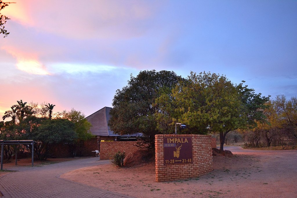 Impala Camp
