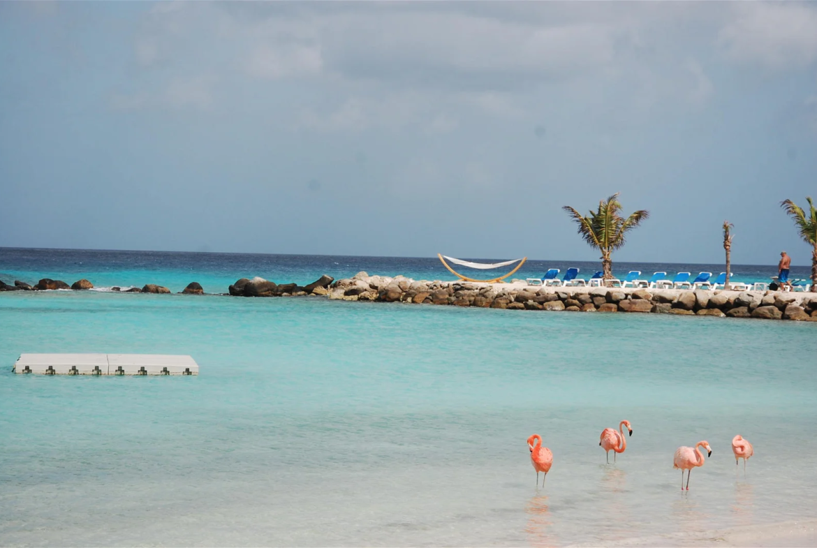 Renaissance Island