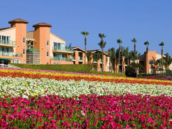 Grand Pacific Palisades