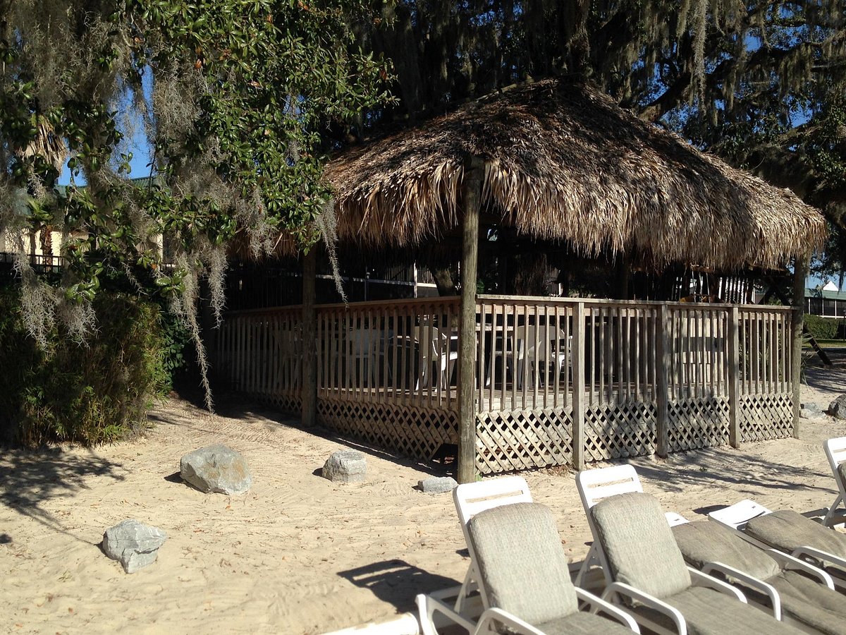 Lake Wilson beach