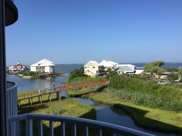 Water View