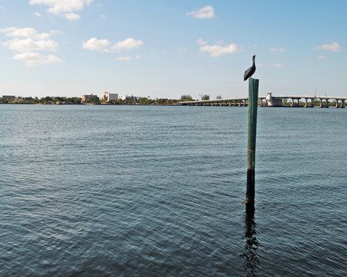 Palm Beach Resort And Beach Club Intracoastal