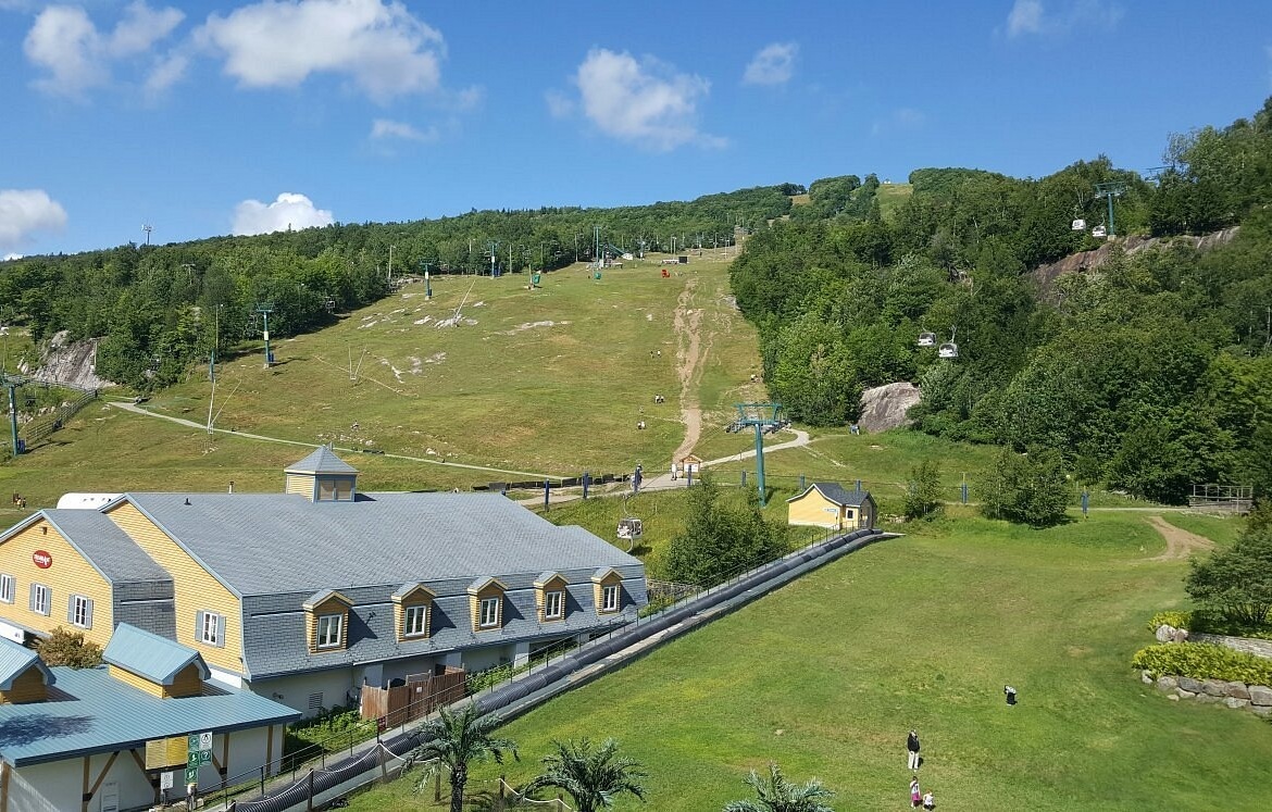 greenery view