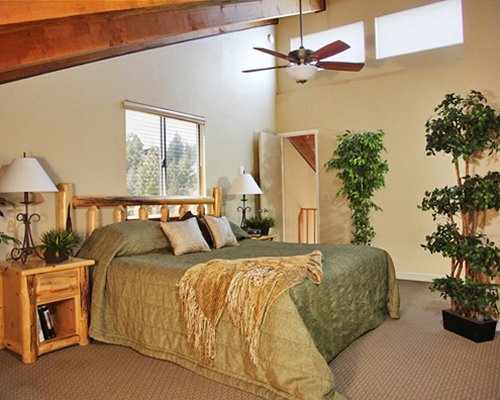 Loft Bed