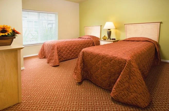 Guest Bed