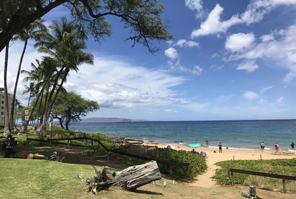 beach area