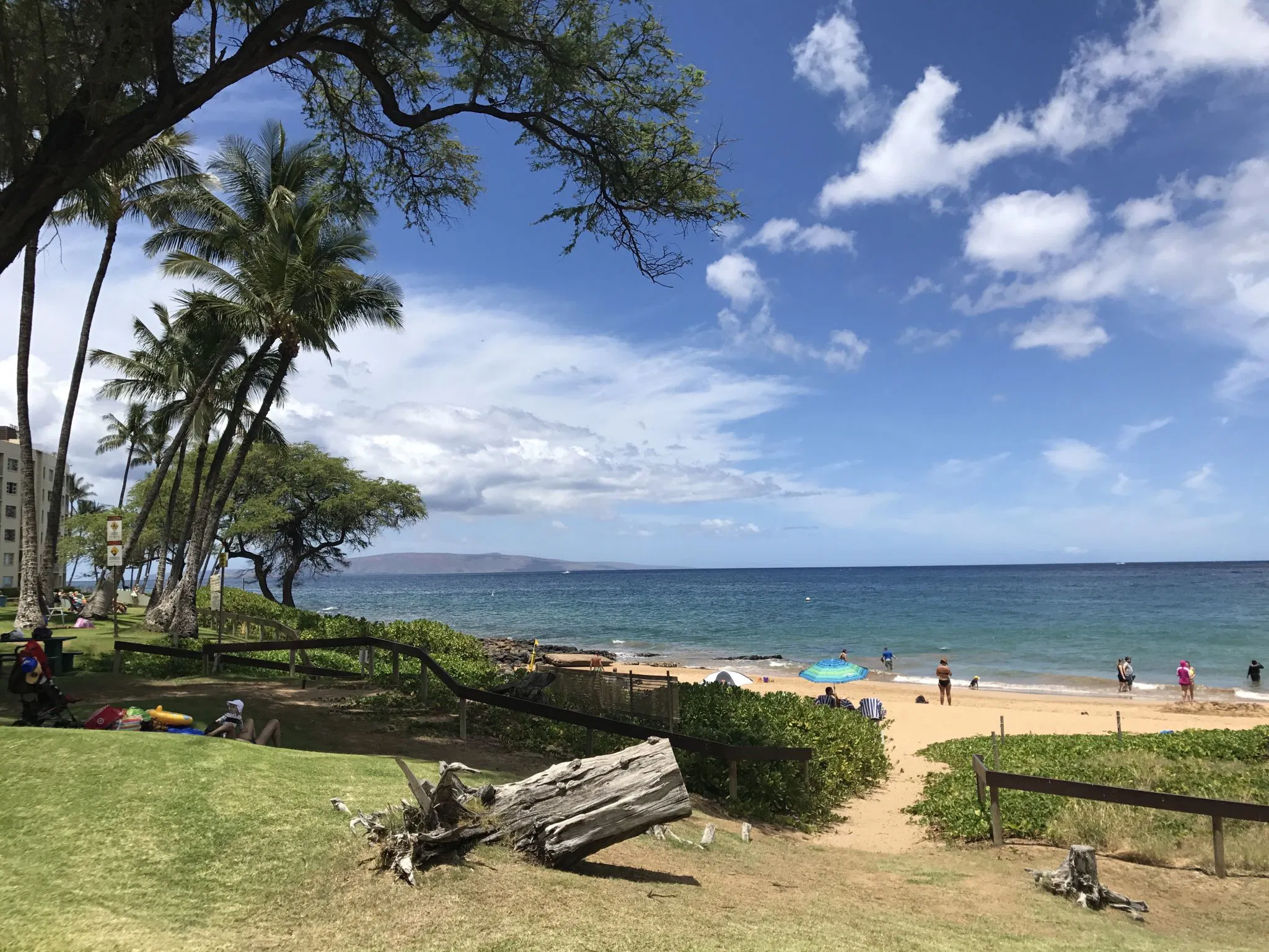 beach area