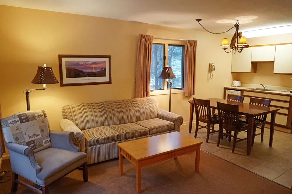Telemark Resort Living and Dining Area