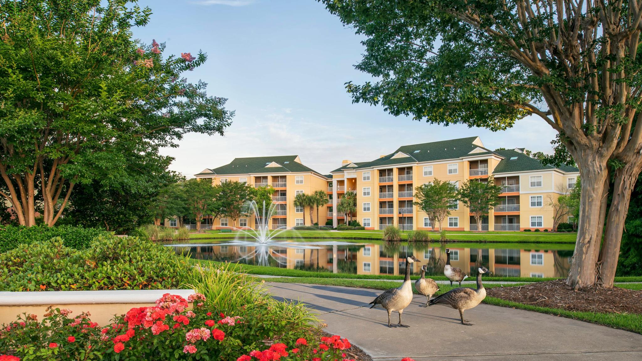 Sheraton Flex Vacation Plan: Sheraton Broadway Plantation