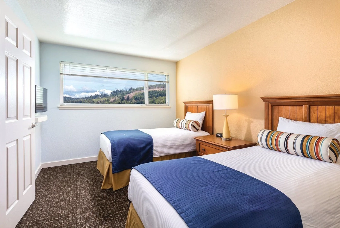 Guest Bed