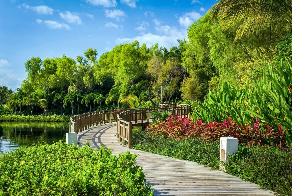 The Grand Bliss Grounds