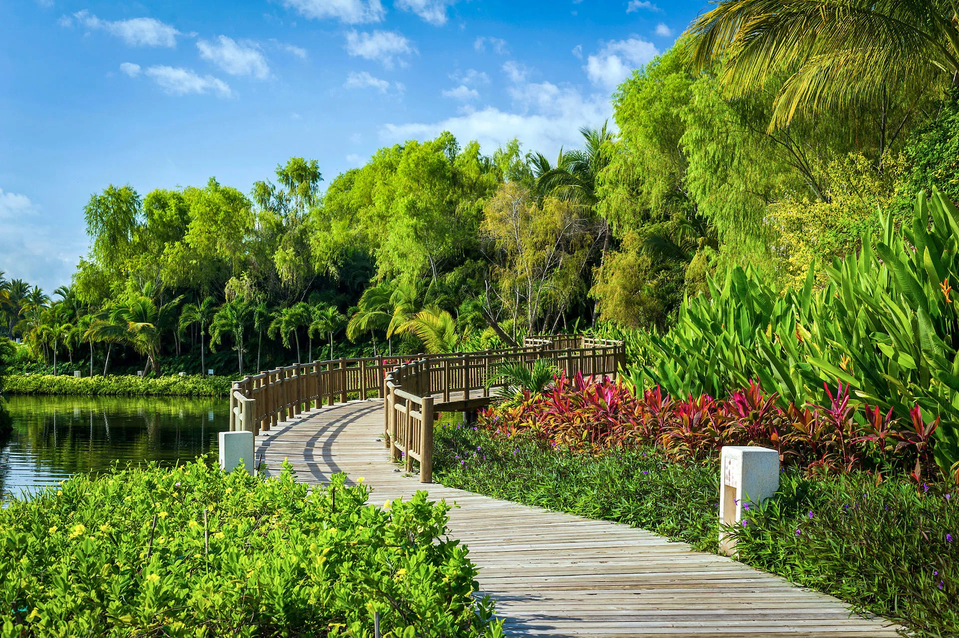 The Grand Bliss Grounds