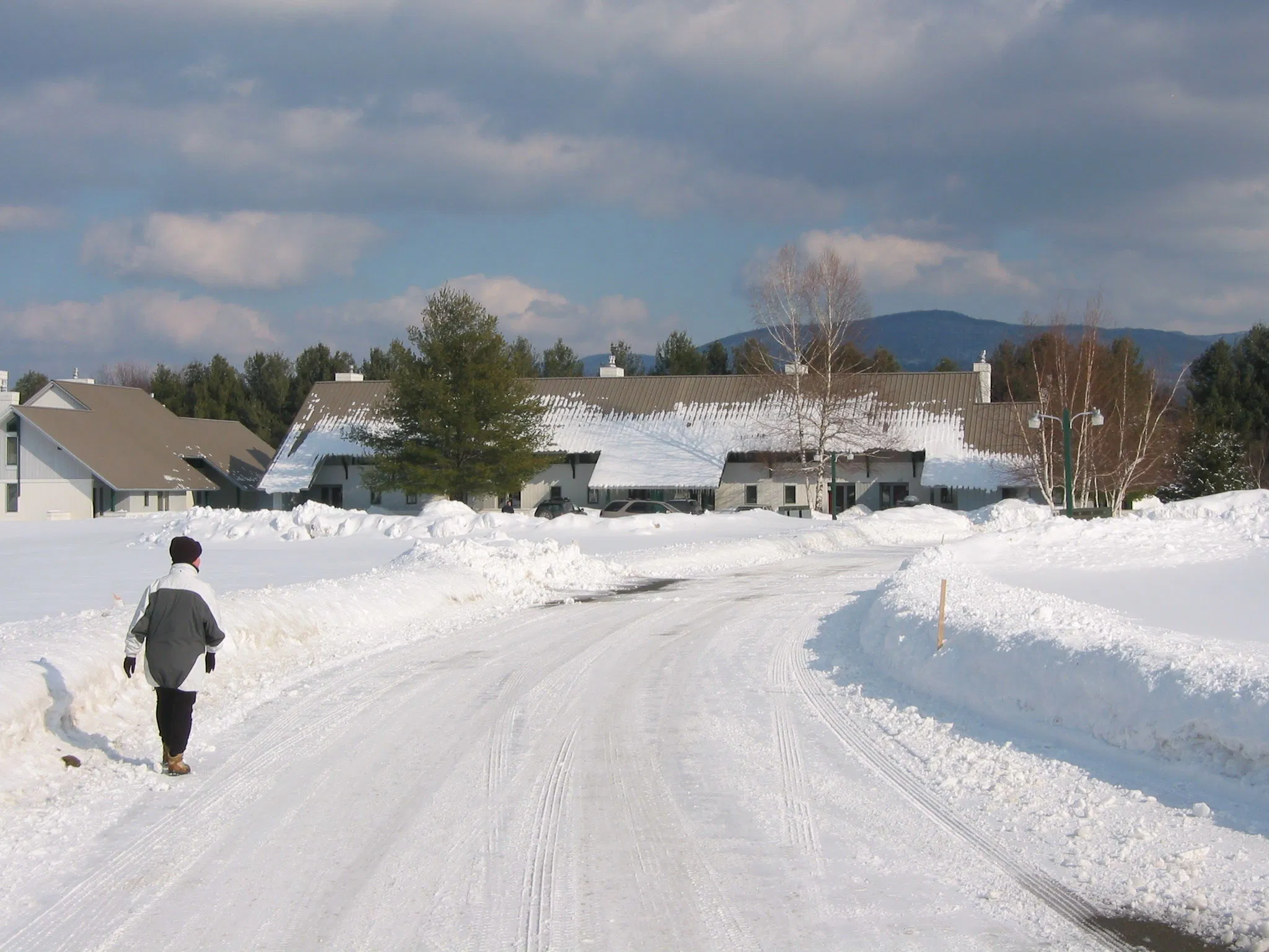 Village Green At Stowe in January