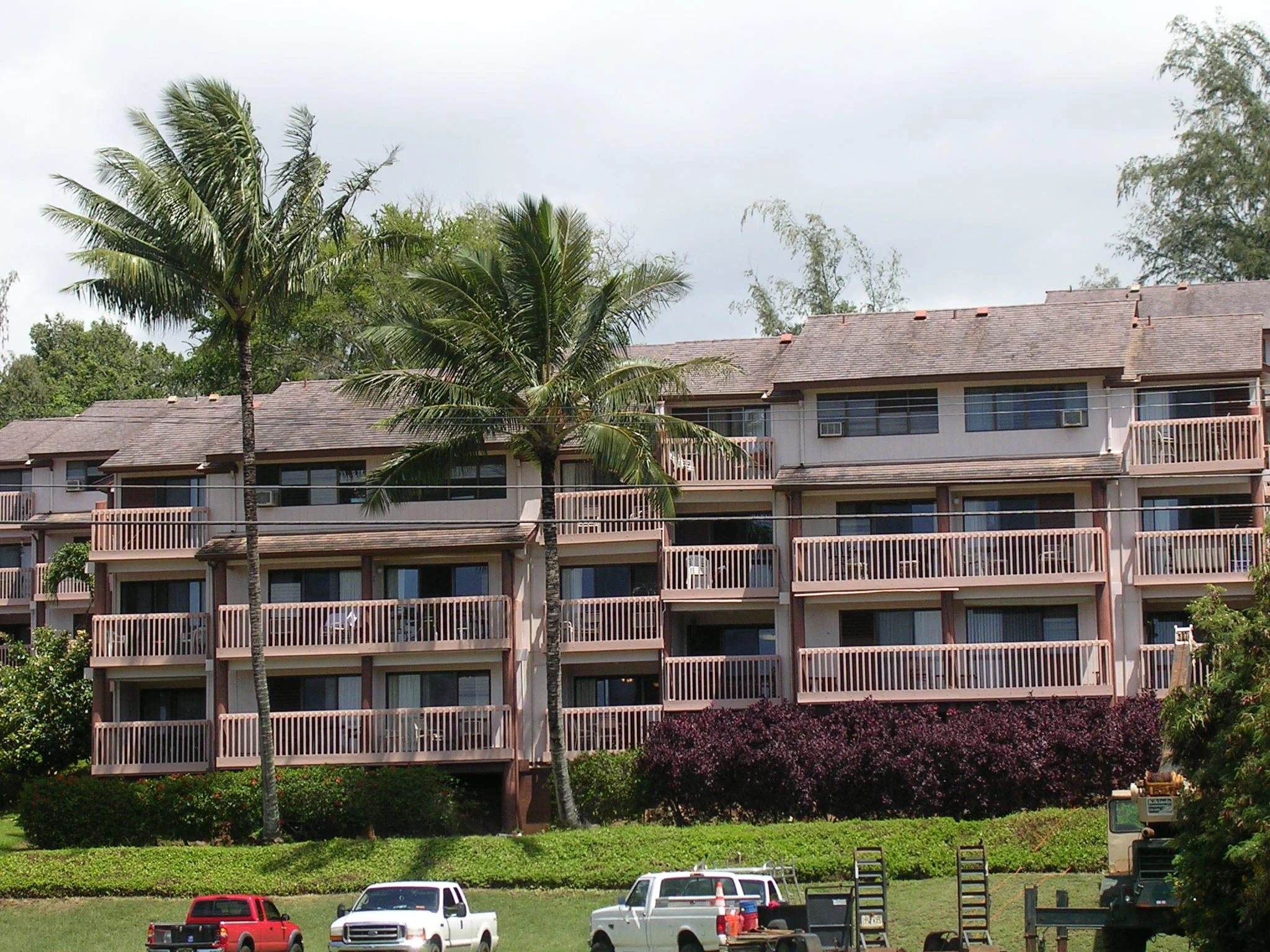 Banyan Harbor