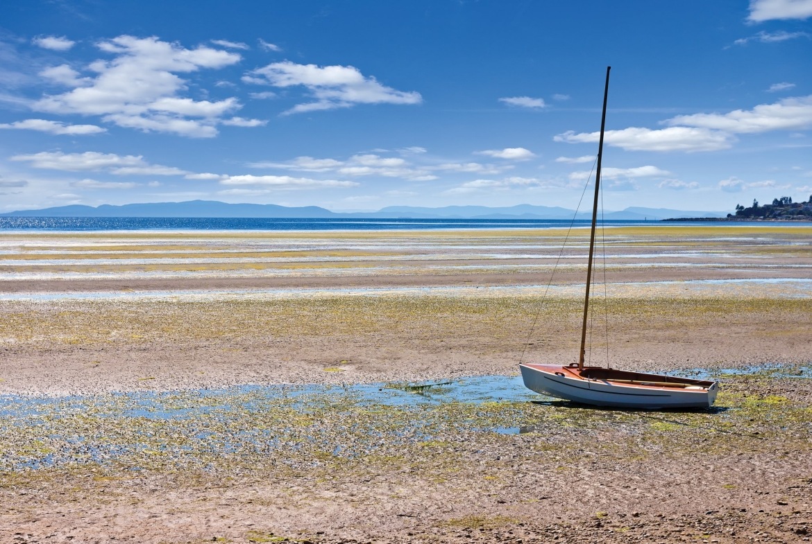WorldMark Birch Bay at Low Tide