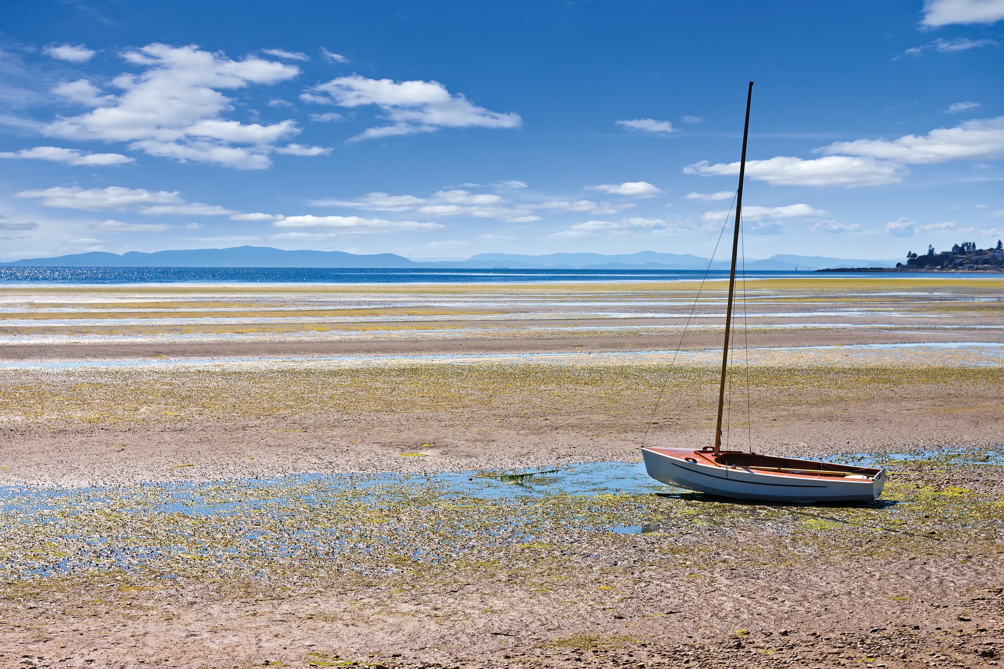 WorldMark Birch Bay at Low Tide