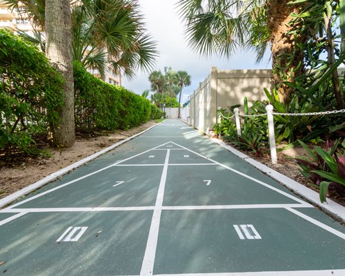 shuffleboard