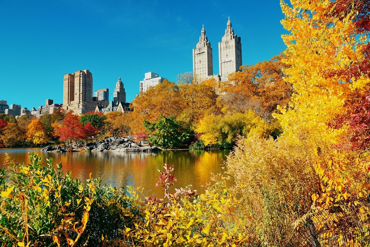 Central Park Autumn