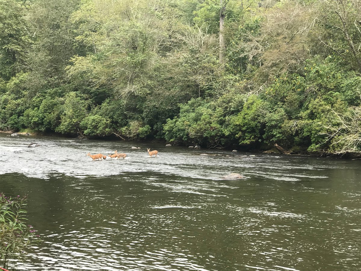 river area