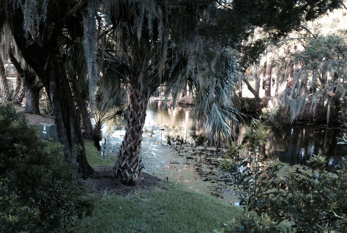 Egrets Pointe Townhouses exterior