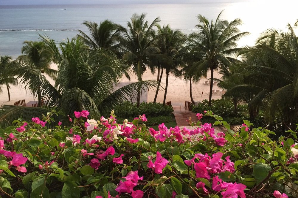Grupo Velas Resorts 1