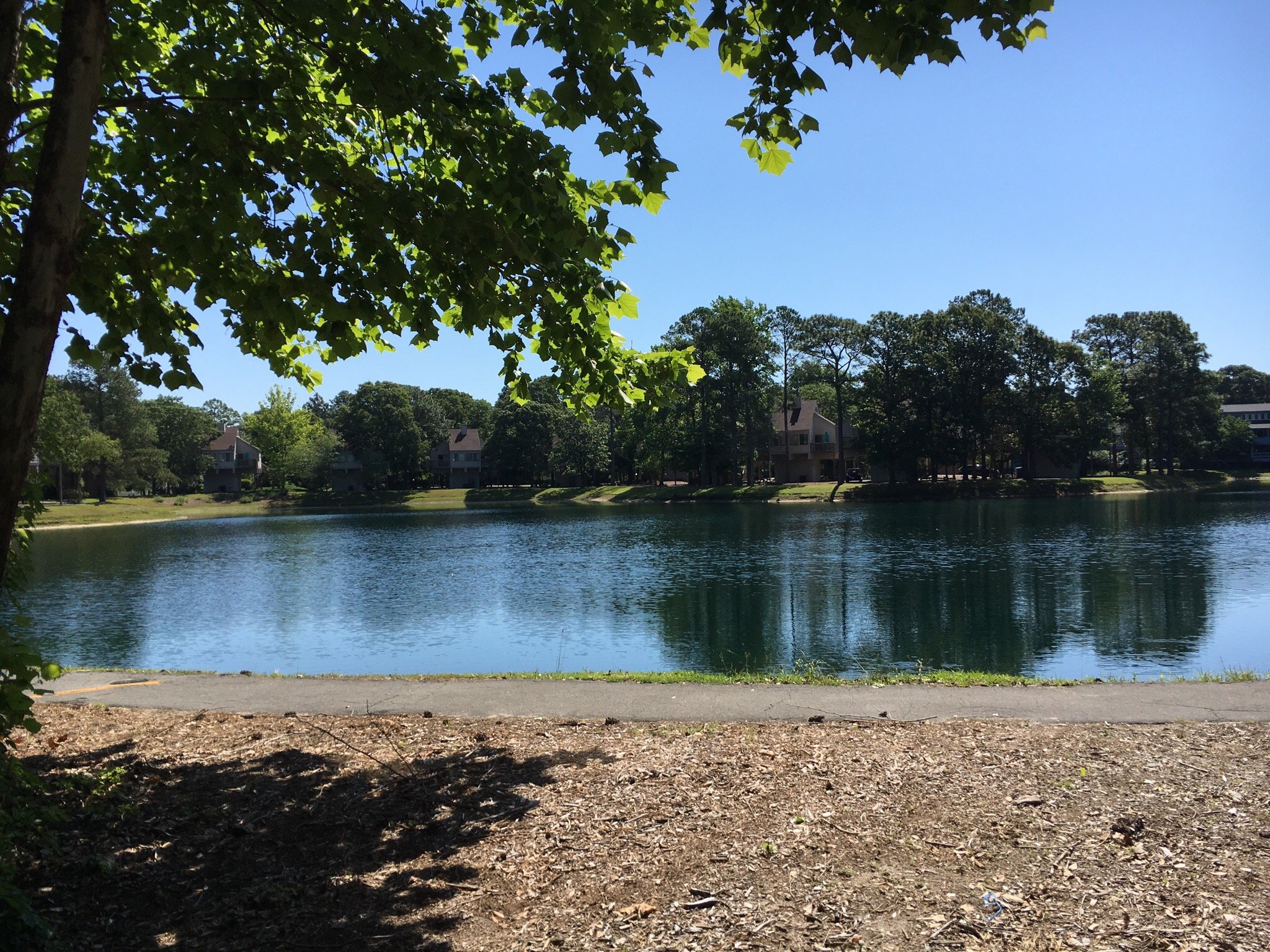 Harbourside II Lake