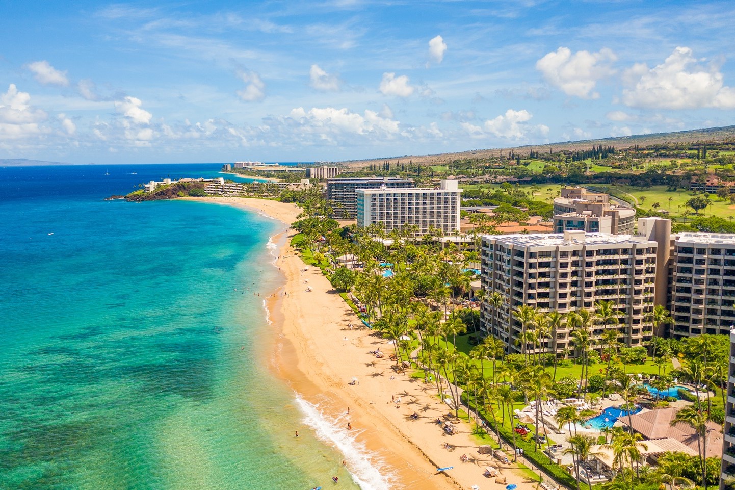 Maui Resorts