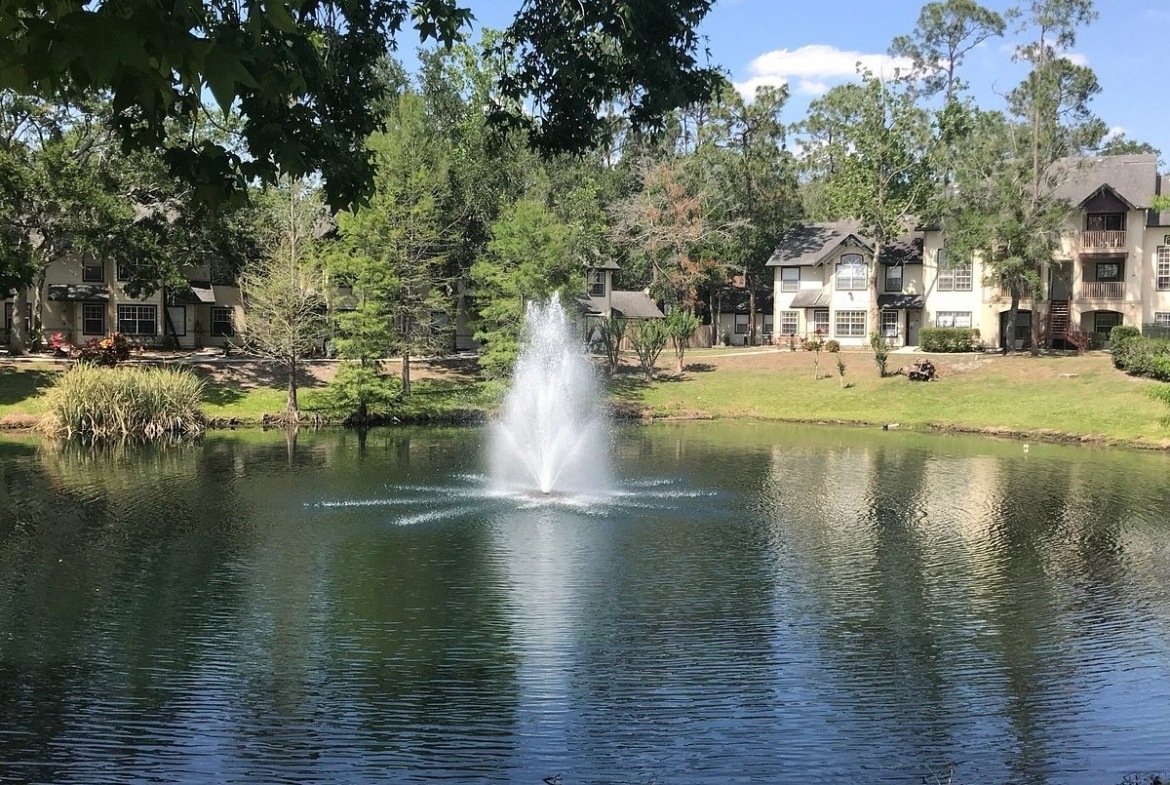 lake view