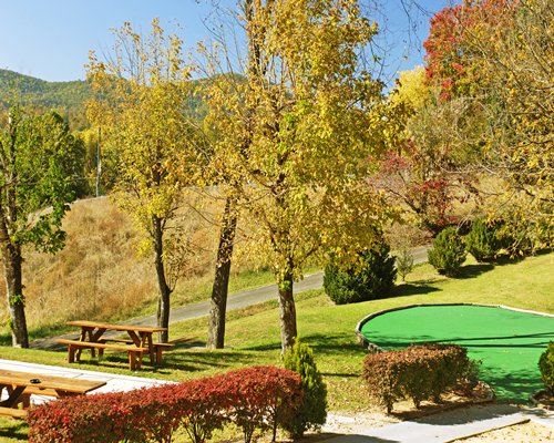 Oakmont Resort Golf