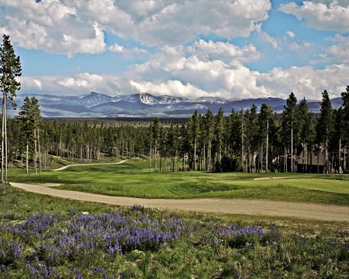 Pines At Meadow Ridge Views