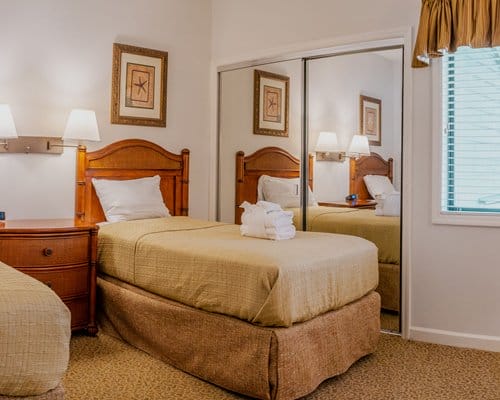 Guest Bed