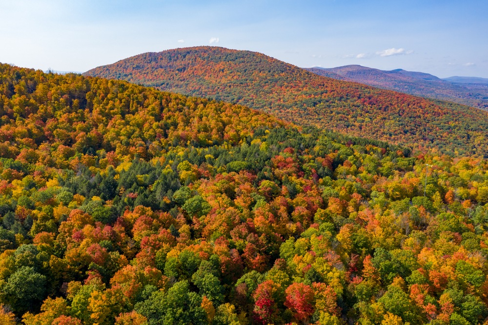 Travel Club International and Badin Shores Resort Fall Trip