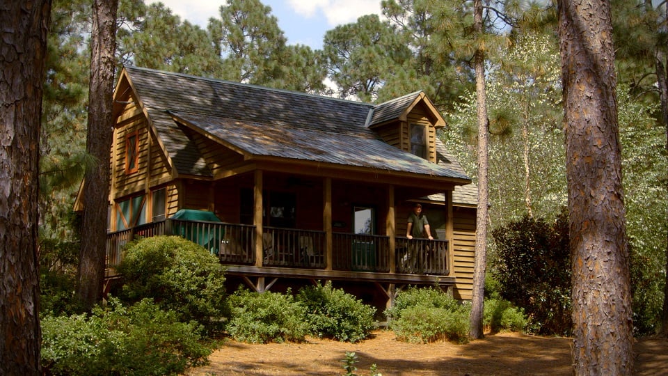 cabin area