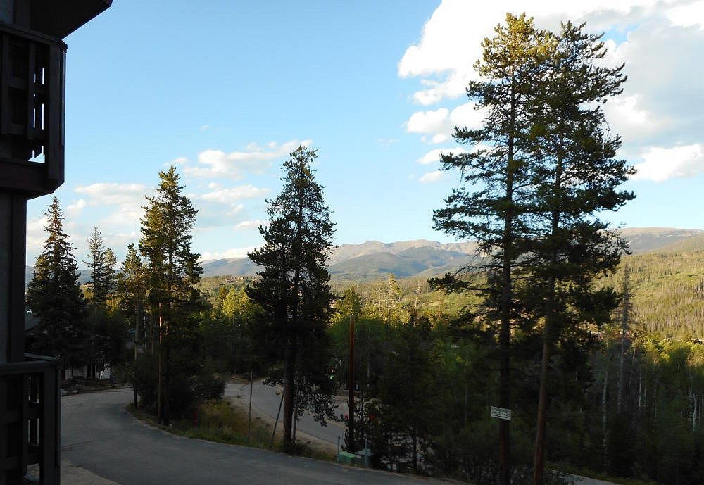 Timber Run Views