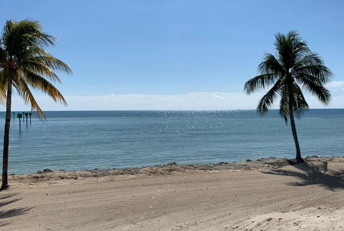 beach view