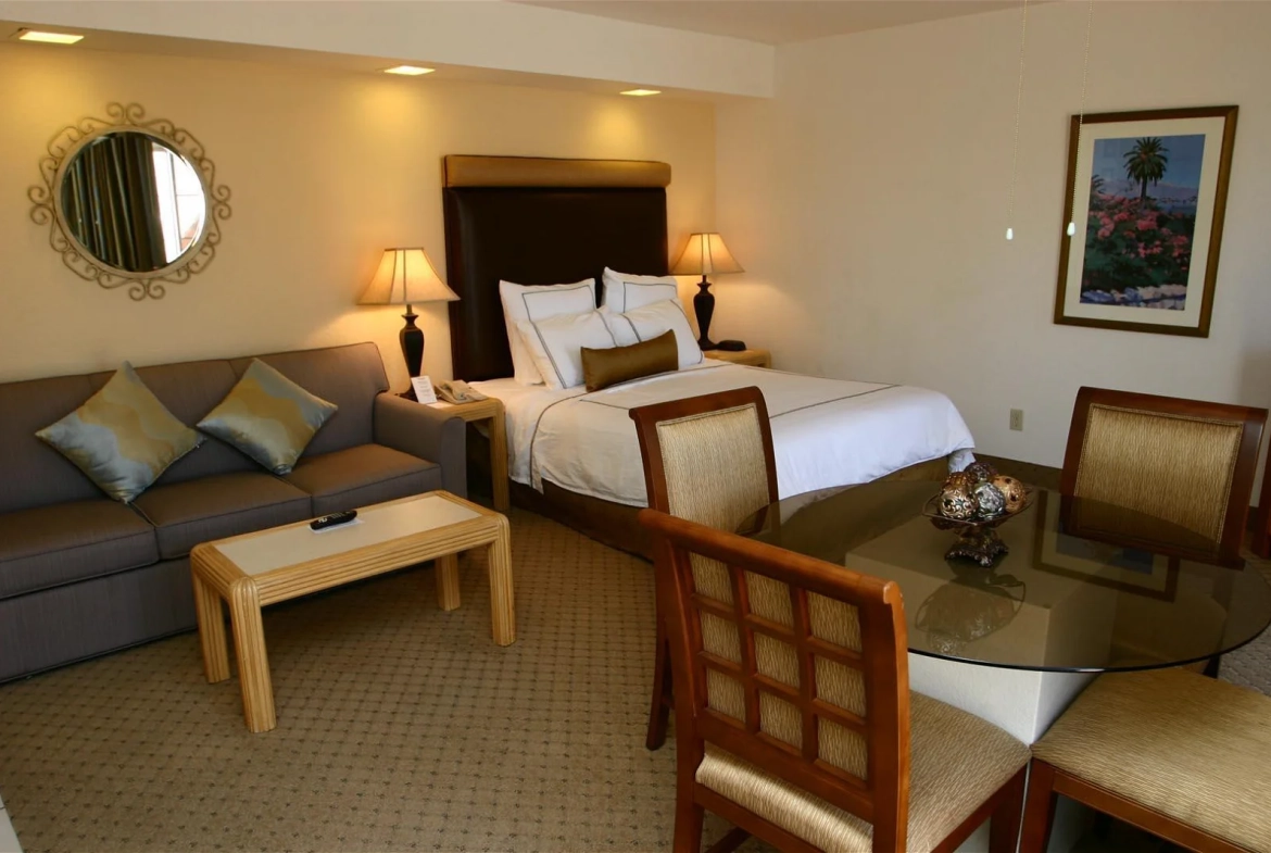bedroom and living area