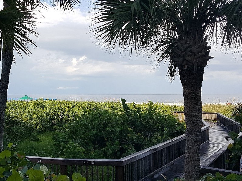beach boardwalk
