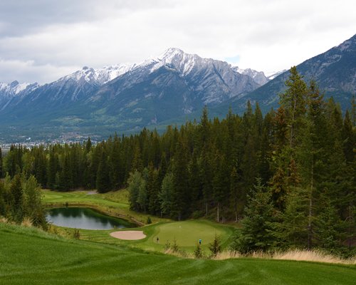 Elkhorn At The Lodges golf